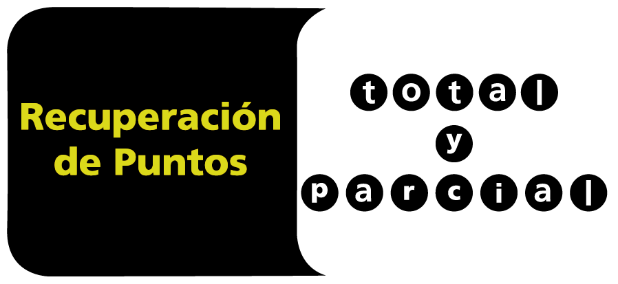 Cursos Recuperación Puntos en Pontevedra 1